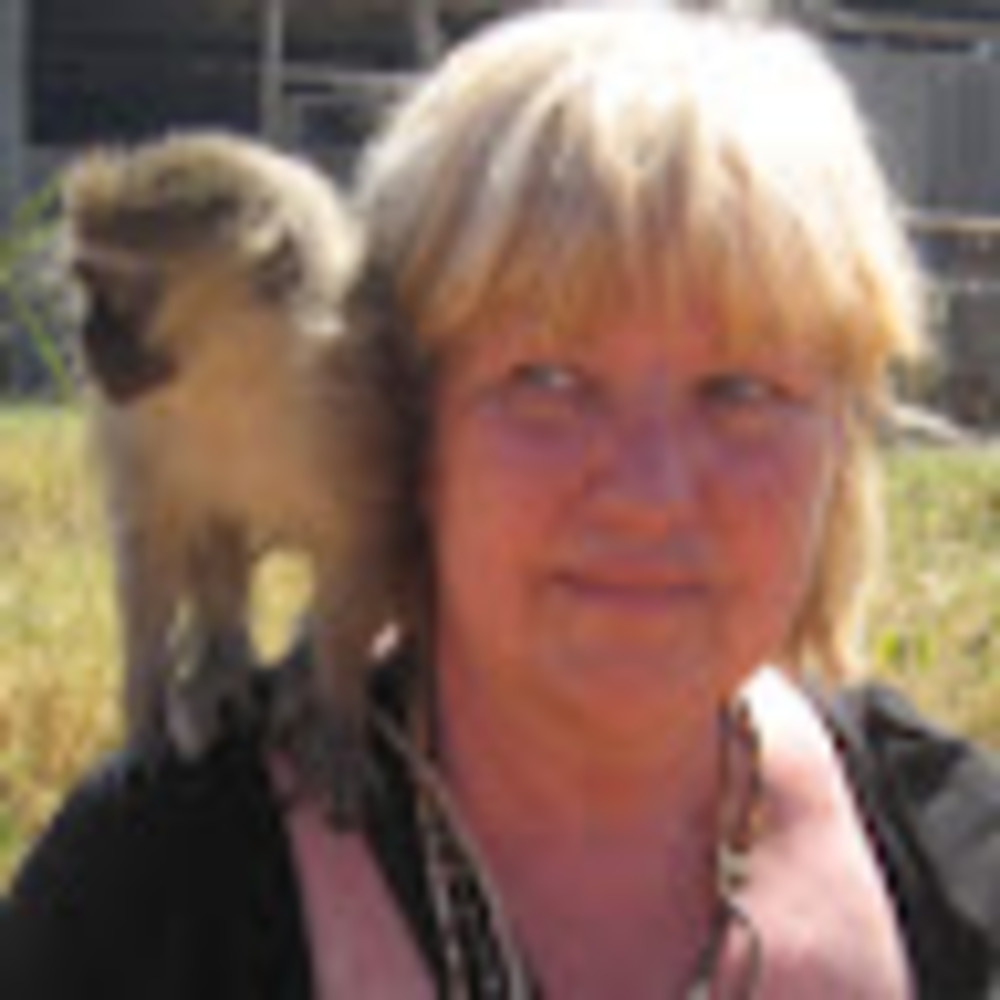 Meet your Posher, Jane